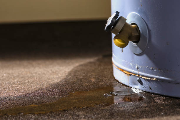 Best Sewage cleanup and water damage restoration  in Salem, UT
