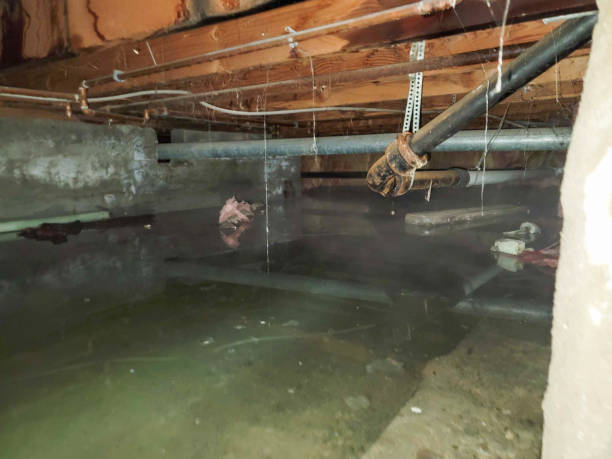 Best Flood restoration services  in Salem, UT