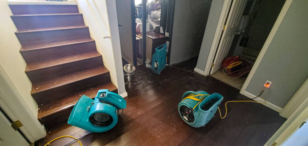 Best Mold removal after water damage  in Salem, UT