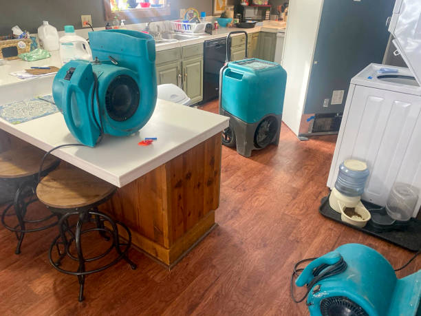 Best Water damage restoration process  in Salem, UT