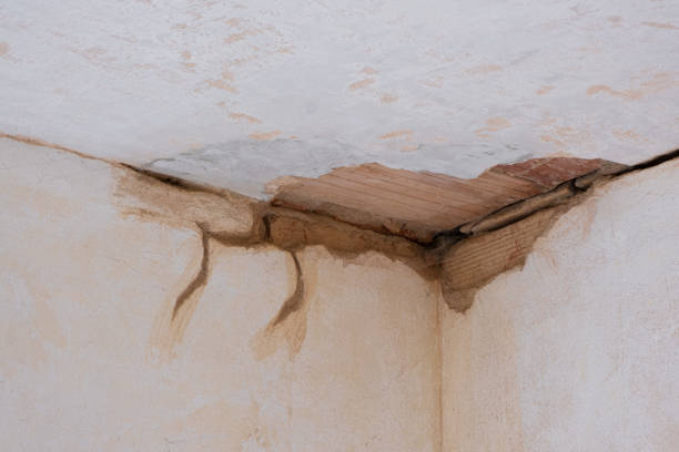 Best Professional water damage repair  in Salem, UT