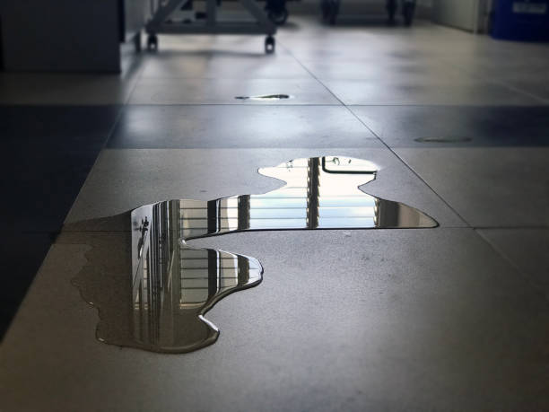 Best Water damage restoration experts  in Salem, UT