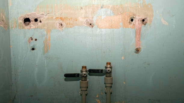 Best Emergency water damage restoration  in Salem, UT