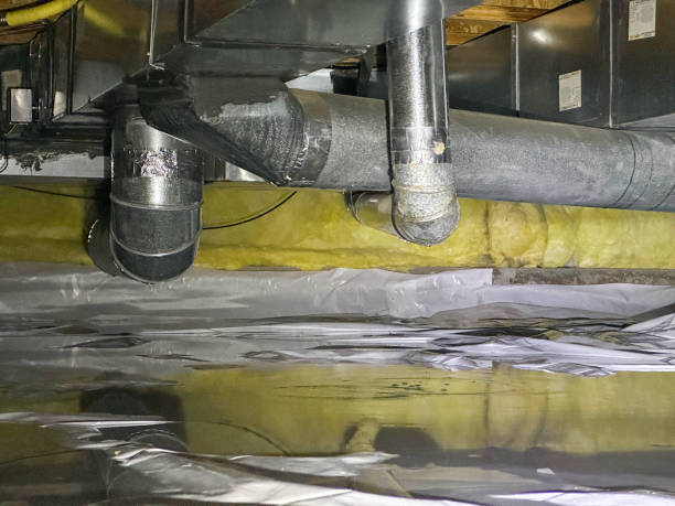 Best Water damage restoration process  in Salem, UT
