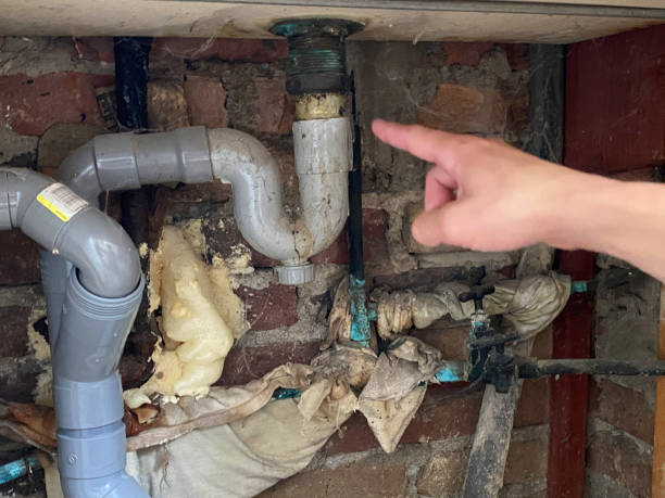 Best Water damage restoration mold remediation  in Salem, UT