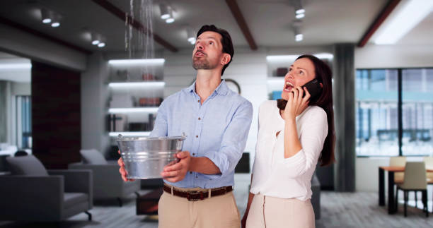 Best Water damage restoration near me  in Salem, UT